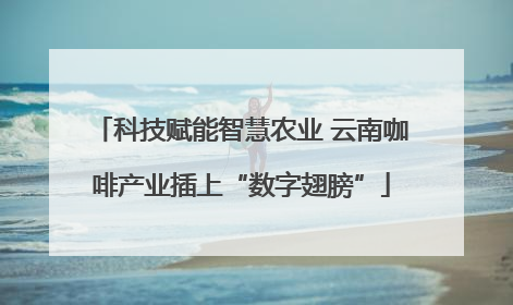 科技赋能智慧农业 云南咖啡产业插上“数字翅膀”