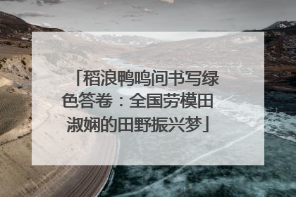 稻浪鸭鸣间书写绿色答卷：全国劳模田淑娴的田野振兴梦
