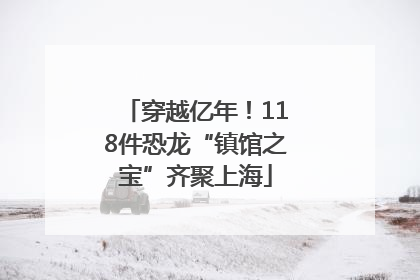 穿越亿年！118件恐龙“镇馆之宝”齐聚上海