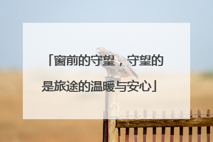 窗前的守望，守望的是旅途的温暖与安心