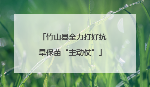 竹山县全力打好抗旱保苗“主动仗”