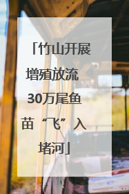 竹山开展增殖放流 30万尾鱼苗“飞”入堵河