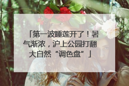 第一波睡莲开了！暑气渐浓，沪上公园打翻大自然“调色盘”