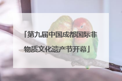 第九届中国成都国际非物质文化遗产节开幕