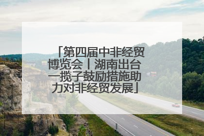 第四届中非经贸博览会丨湖南出台一揽子鼓励措施助力对非经贸发展