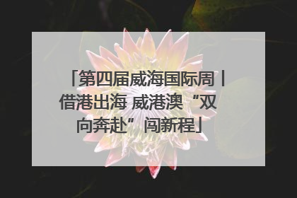 第四届威海国际周丨借港出海 威港澳“双向奔赴”闯新程