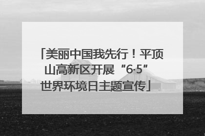 美丽中国我先行！平顶山高新区开展“6·5”世界环境日主题宣传
