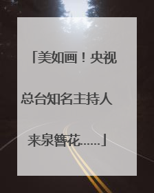 美如画！央视总台知名主持人来泉簪花……