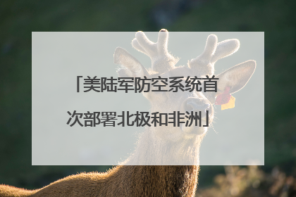 美陆军防空系统首次部署北极和非洲