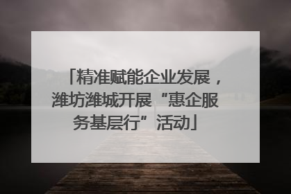 精准赋能企业发展，潍坊潍城开展“惠企服务基层行”活动