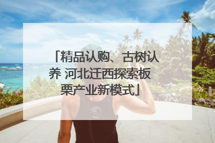 精品认购、古树认养 河北迁西探索板栗产业新模式