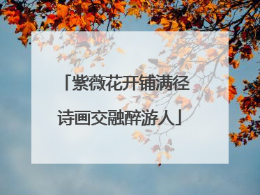 紫薇花开铺满径 诗画交融醉游人
