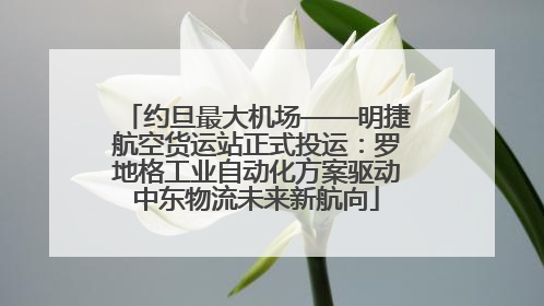 约旦最大机场——明捷航空货运站正式投运：罗地格工业自动化方案驱动中东物流未来新航向