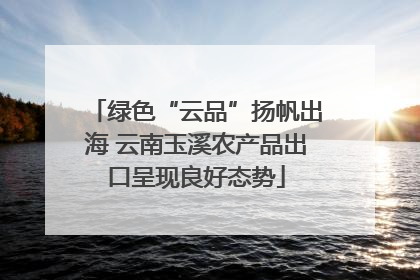 绿色“云品”扬帆出海 云南玉溪农产品出口呈现良好态势