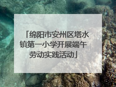 绵阳市安州区塔水镇第一小学开展端午劳动实践活动