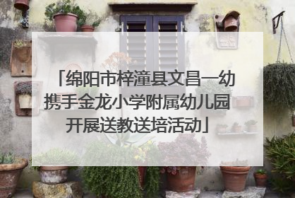 绵阳市梓潼县文昌一幼携手金龙小学附属幼儿园开展送教送培活动