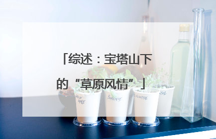 综述：宝塔山下的“草原风情”