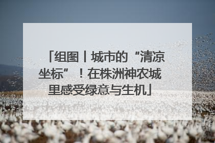 组图丨城市的“清凉坐标”！在株洲神农城里感受绿意与生机