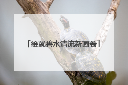 绘就碧水清流新画卷