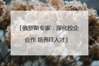 俄罗斯专家：深化校企合作 培养IT人才