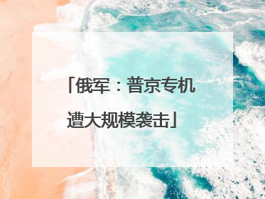 俄军：普京专机遭大规模袭击