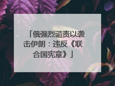 俄强烈谴责以袭击伊朗：违反《联合国宪章》