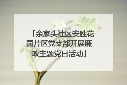余家头社区安胜花园片区党支部开展廉政主题党日活动