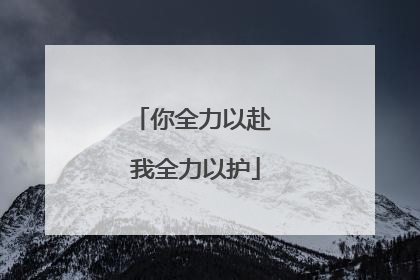 你全力以赴 我全力以护