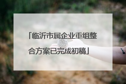临沂市属企业重组整合方案已完成初稿