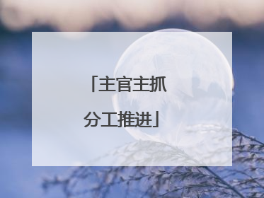 主官主抓 分工推进