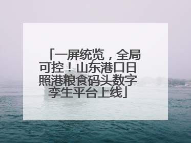 一屏统览，全局可控！山东港口日照港粮食码头数字孪生平台上线