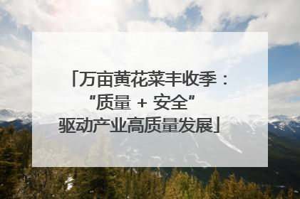 万亩黄花菜丰收季：“质量 + 安全” 驱动产业高质量发展