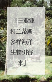 三亚亚特兰蒂斯多样海洋生物引客来