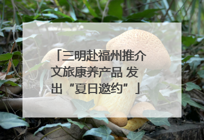 三明赴福州推介文旅康养产品 发出“夏日邀约”
