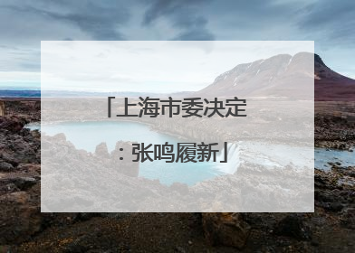上海市委决定：张鸣履新