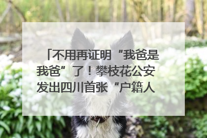 不用再证明“我爸是我爸”了！攀枝花公安发出四川首张“户籍人口直系亲属关系谱”