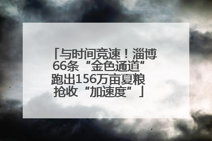 与时间竞速！淄博66条“金色通道”跑出156万亩夏粮抢收“加速度”