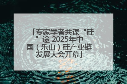 专家学者共谋“硅”途 2025年中国（乐山）硅产业链发展大会开幕