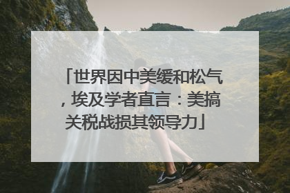 世界因中美缓和松气，埃及学者直言：美搞关税战损其领导力