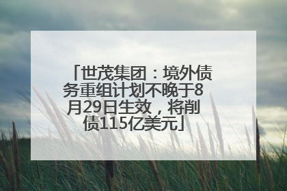 世茂集团：境外债务重组计划不晚于8月29日生效，将削债115亿美元