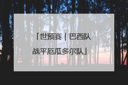 世预赛｜巴西队战平厄瓜多尔队