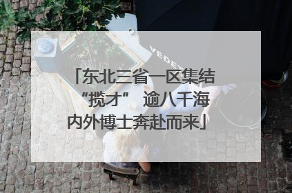 东北三省一区集结“揽才” 逾八千海内外博士奔赴而来