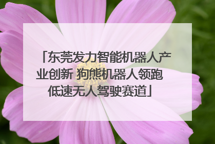 东莞发力智能机器人产业创新 狗熊机器人领跑低速无人驾驶赛道