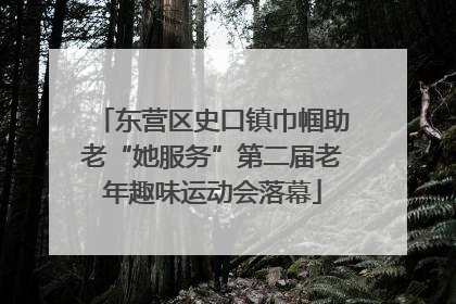 东营区史口镇巾帼助老“她服务”第二届老年趣味运动会落幕
