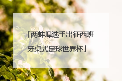 两蚌埠选手出征西班牙桌式足球世界杯
