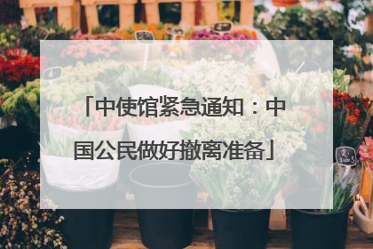 中使馆紧急通知：中国公民做好撤离准备