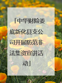 中华财险娄底新化县支公司开展防范非法集资宣讲活动