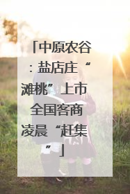 中原农谷：盐店庄“滩桃”上市 全国客商凌晨“赶集”