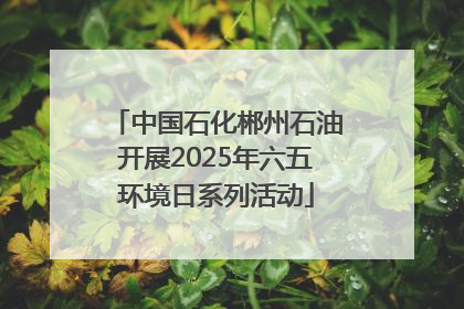 中国石化郴州石油开展2025年六五环境日系列活动