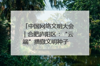 中国网络文明大会｜合肥庐阳区：“云端”播撒文明种子 共建清朗网络空间
